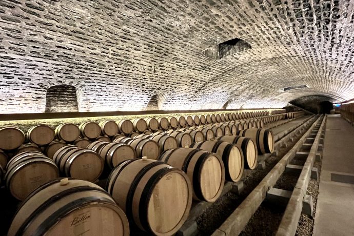 Burgundy 2022 En Primeur